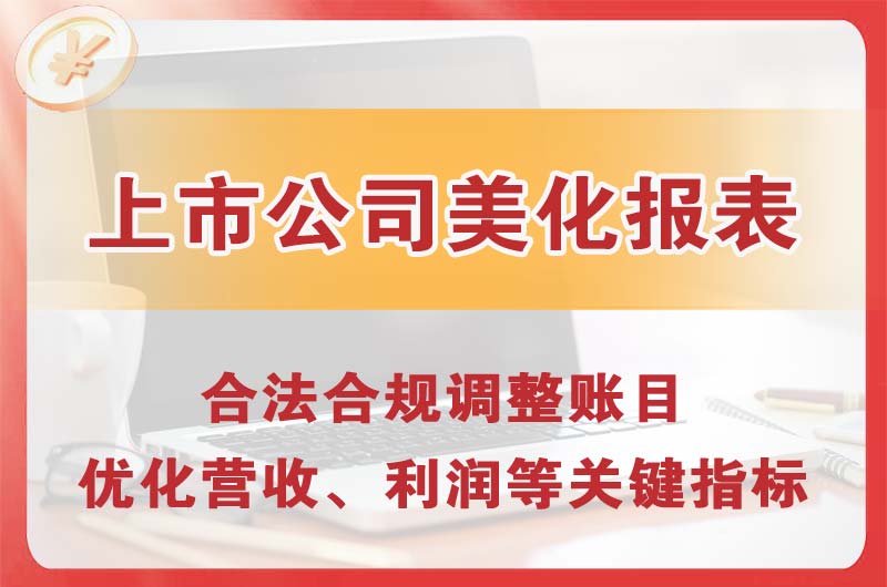 海珠上市公司美化报表